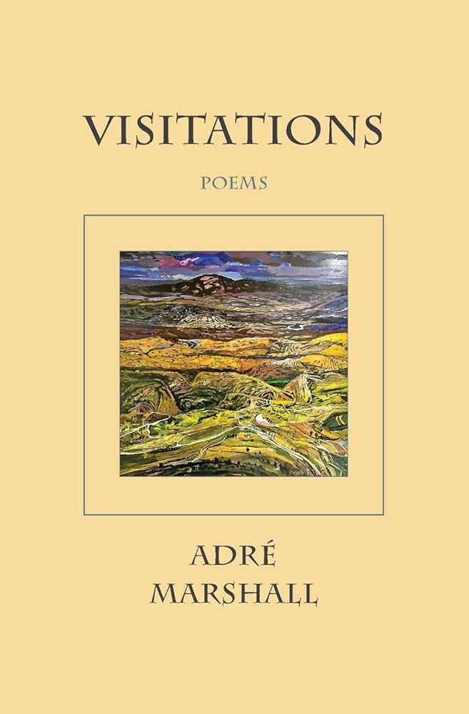Visitations cover image