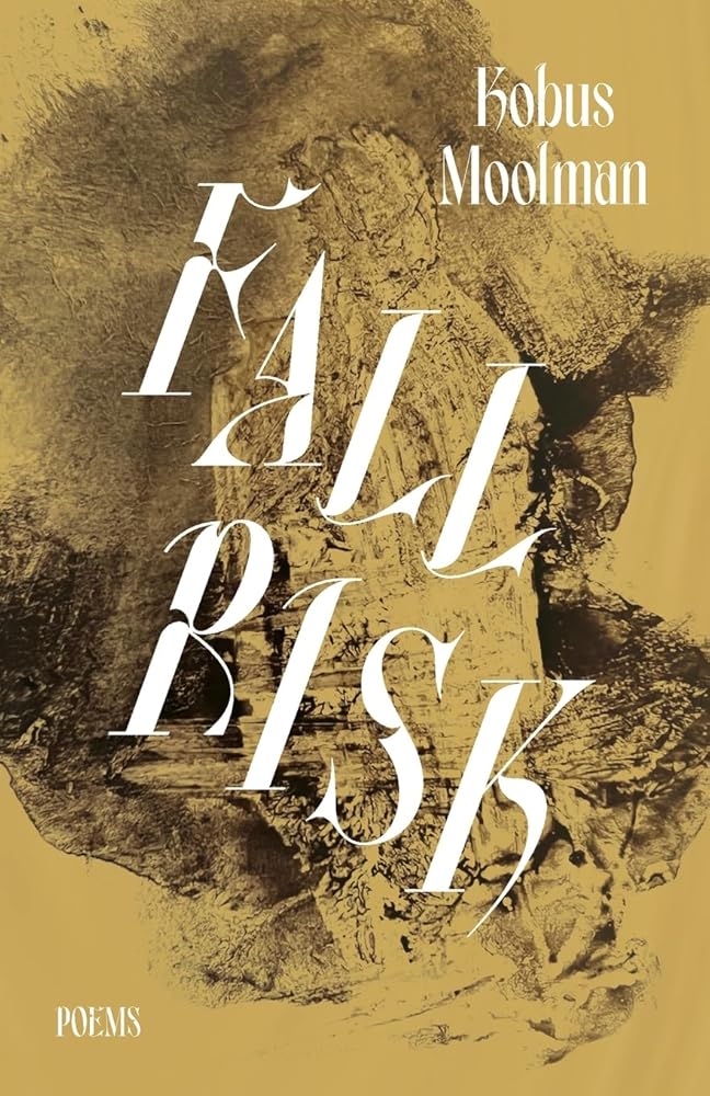 Fall Risk cover image
