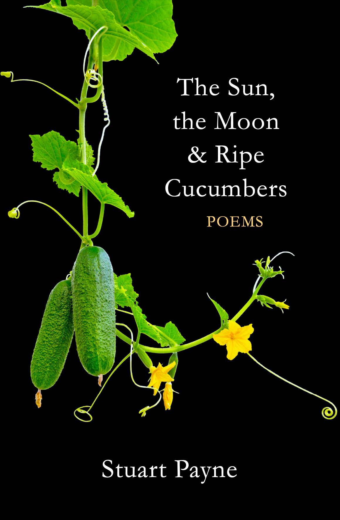 The Sun, the Moon & Ripe Cucumbers