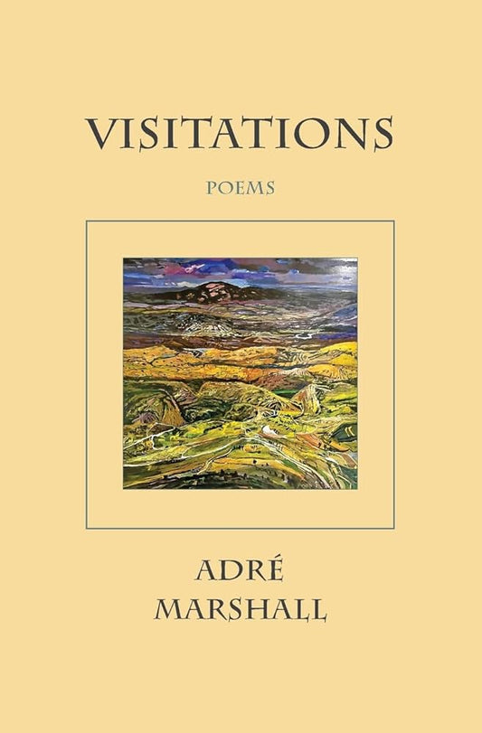 Visitations cover image