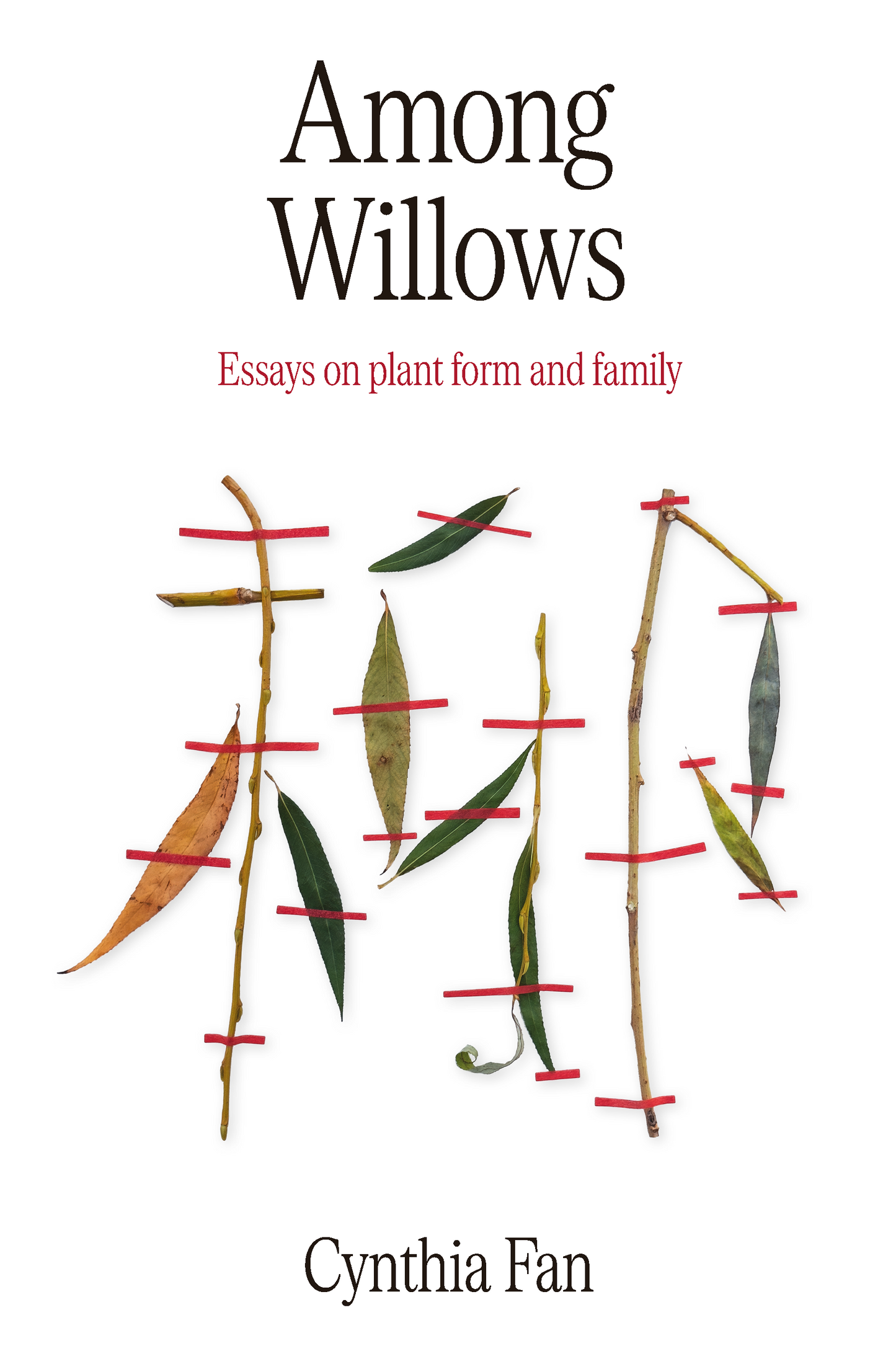 Among Willows: Essays on plant form and family
