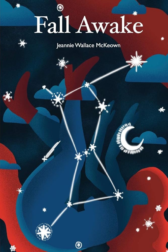 Fall Awake cover image