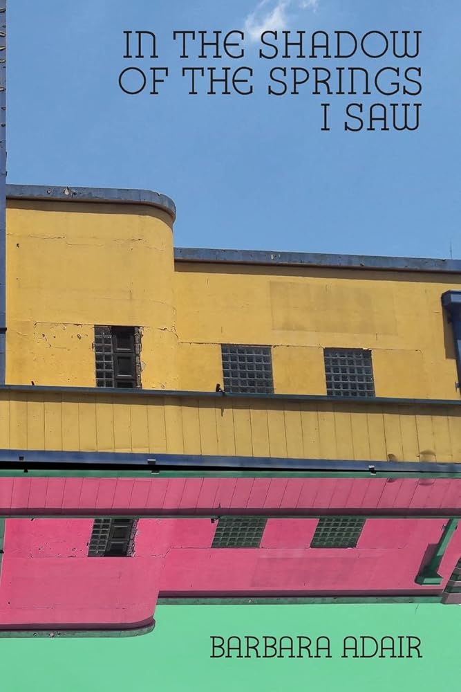 In the Shadow of the Springs I Saw cover image