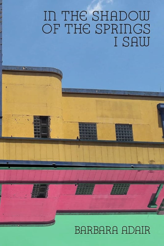 In the Shadow of the Springs I Saw cover image