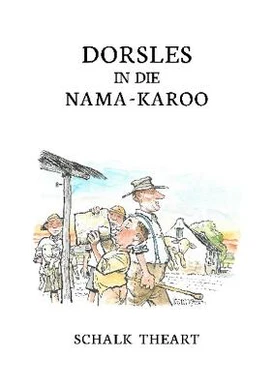 Dorsles in die Nama-Karoo: Kort stories