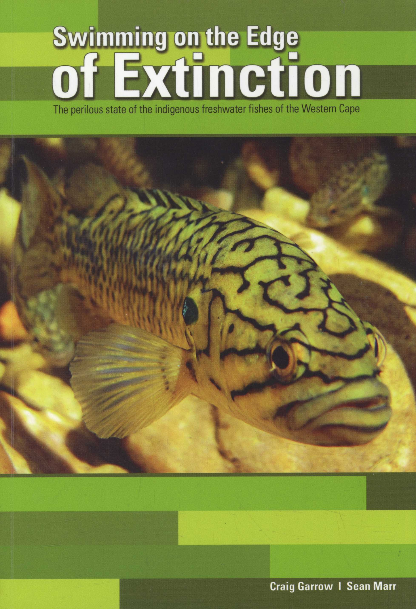 Swimming on the Edge of Extinction: The Perilous State of the Indigenous Freshwater Fish of the Western Cape