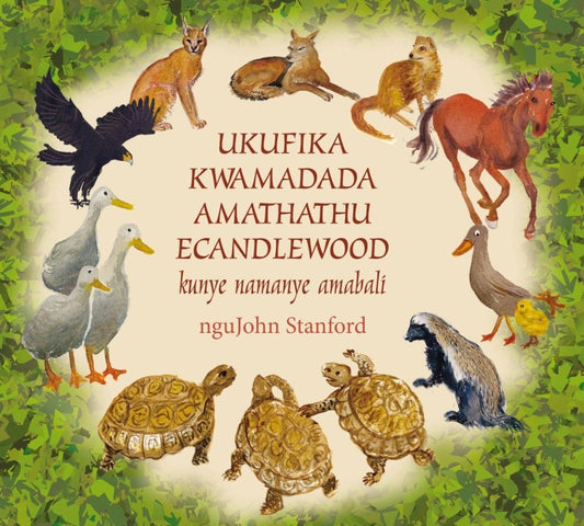 Ukufika kwamadada amathathu eCandlewood